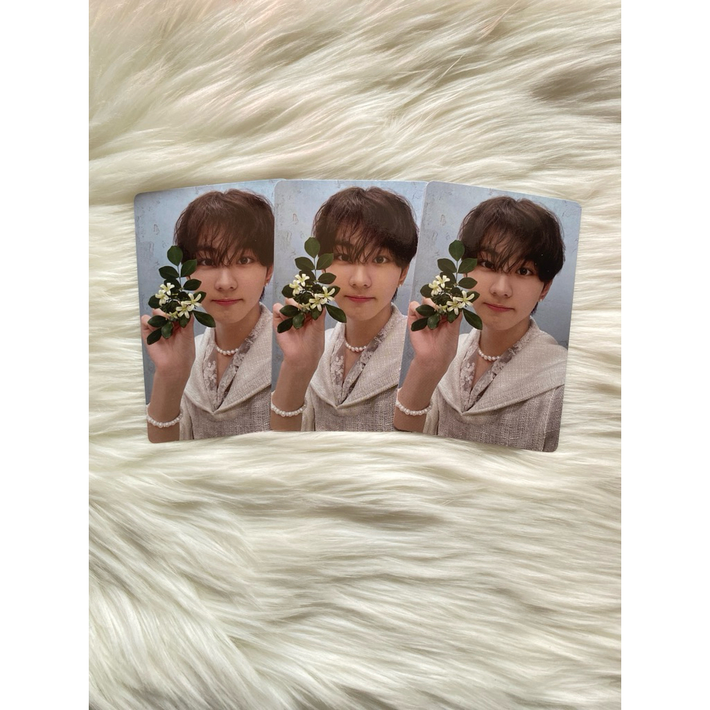 PHOTOCARD JUNGWON ENHYPEN KALPA BUNGA ORANGE BLOOD