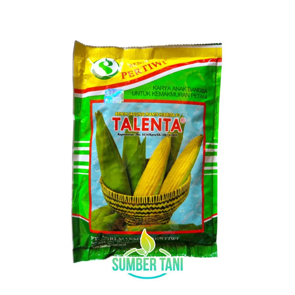 

BENIH JAGUNG MANIS TALENTA F1