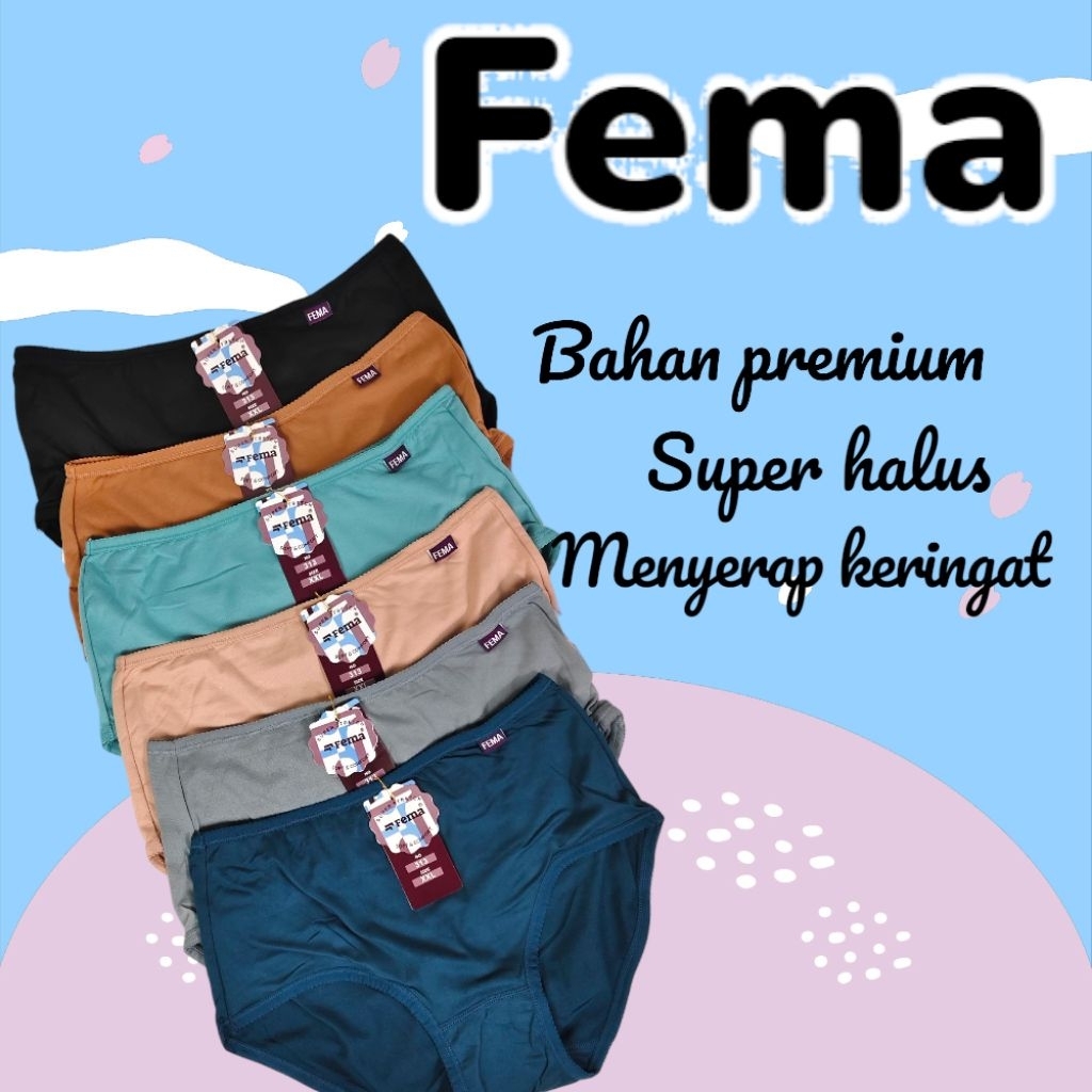 Celana Dalam Wanita Polos Lusinan Cd Fema Premium 313