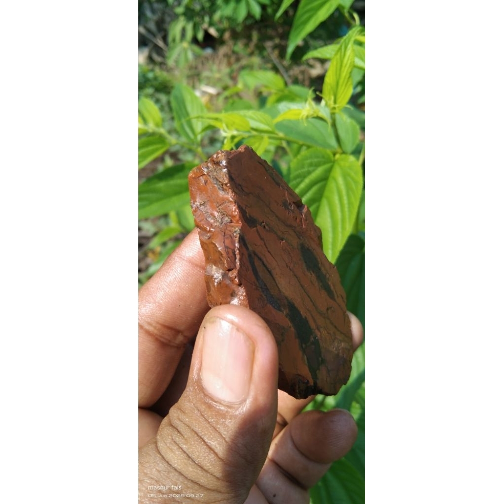 BATU JASPER ATI AYAM MOTIF