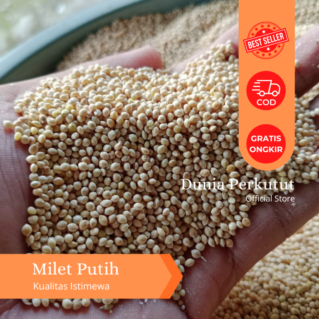 Milet Putih - Pakan Burung Gacor Berkualitas | Untuk Lovebird Kenari Perkutut