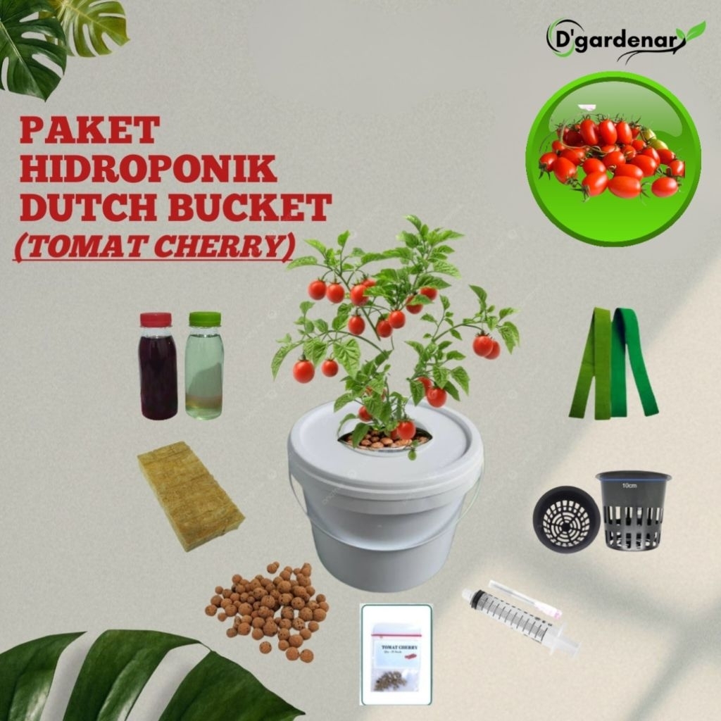 Liceriashop17 Paket Hidroponik Dutch Bucket Tomat Cherry Paket Hidroponik Dutch Bucket Pemula