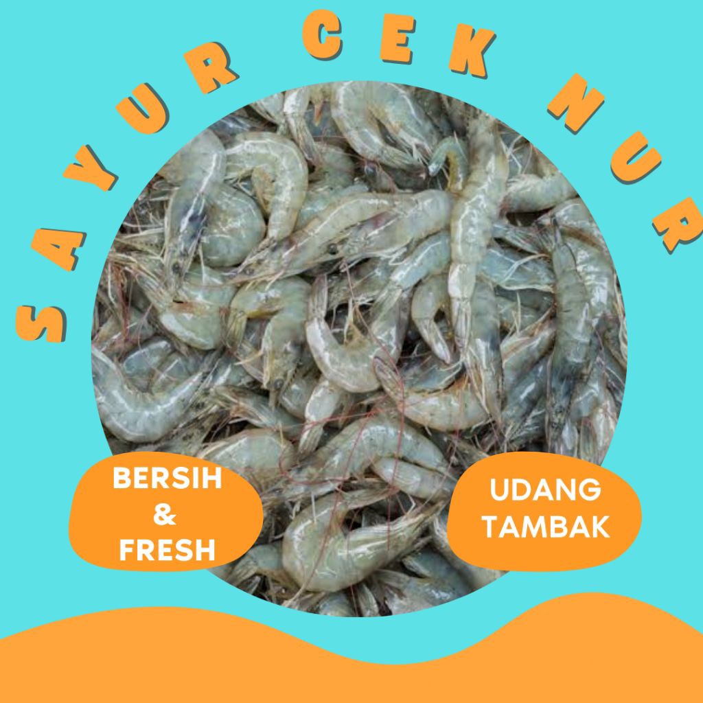 

UDANG TAMBAK VANAME FRESH - INSTAN PALEMBANG
