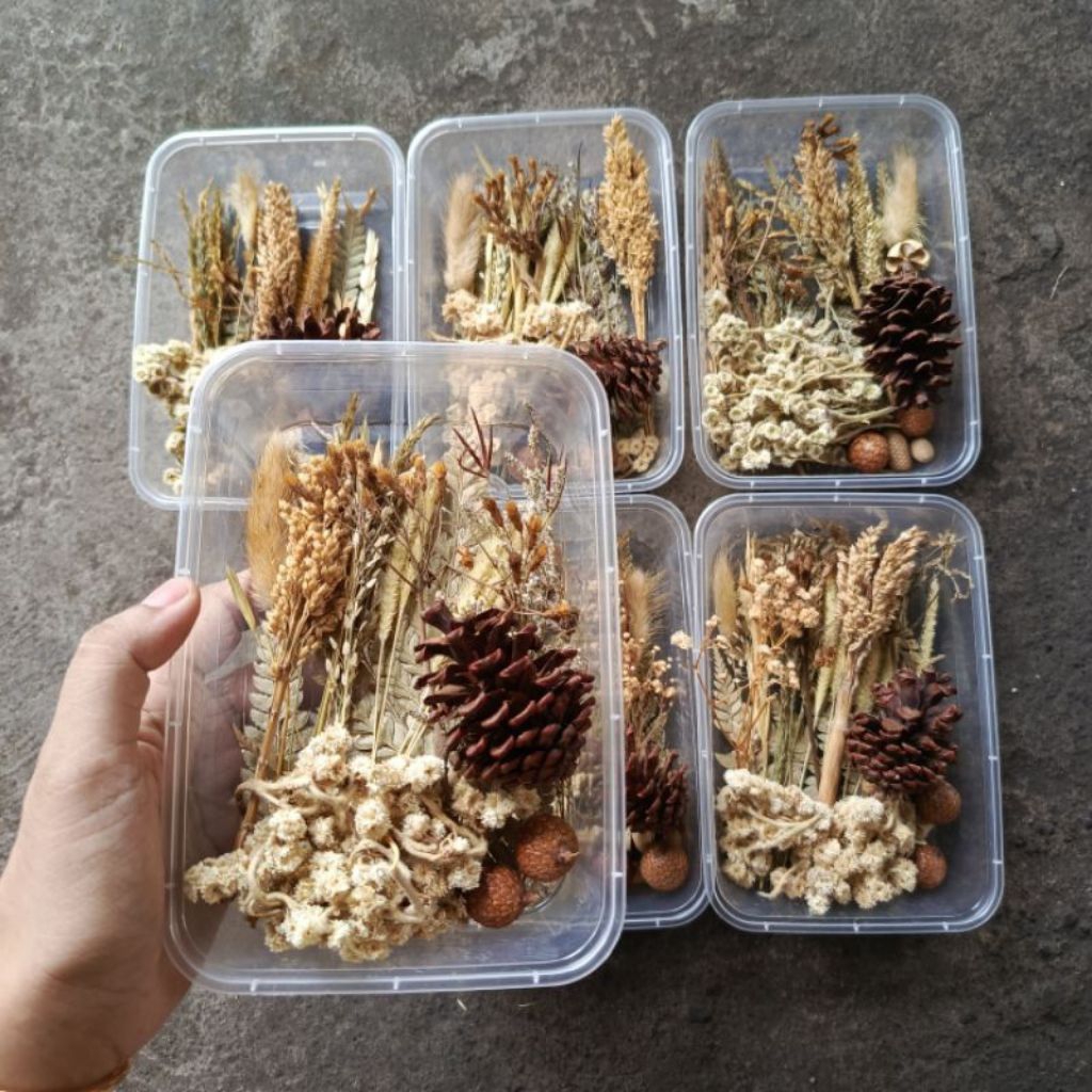 hemat box hantaran bunga kering hiasan lamaran paket lengkap murah