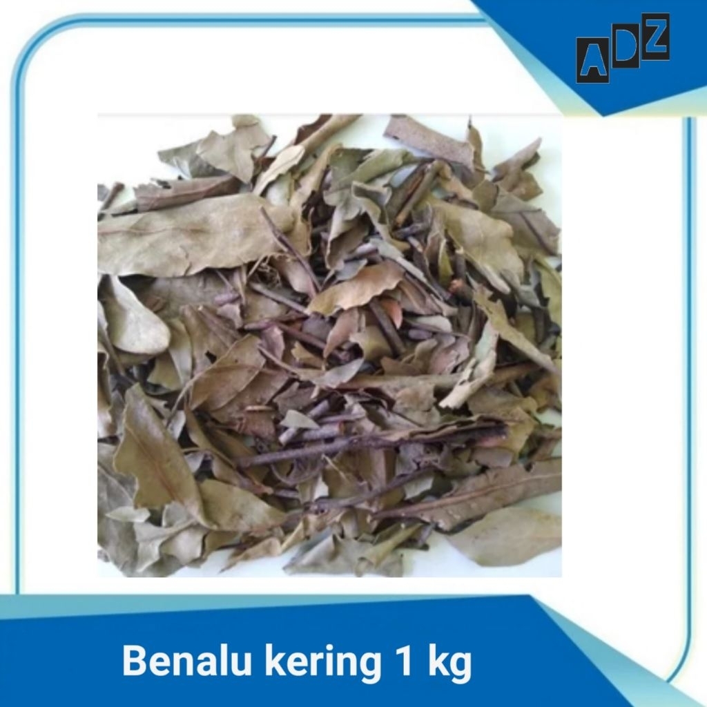 

Daun benalu kering 1 kg