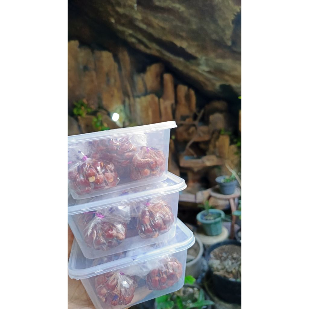 

(7pcs) Kacang Pedas Manis Bu Bidan – Camilan Pedas Manis (Kacang Madumongso)