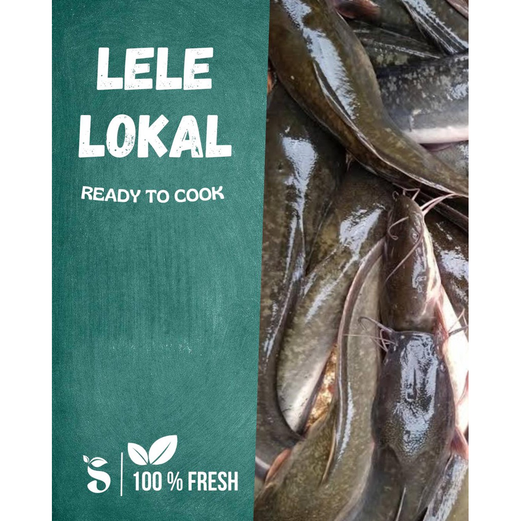 

Lele Lokal segar Lele Fresh 1 kg