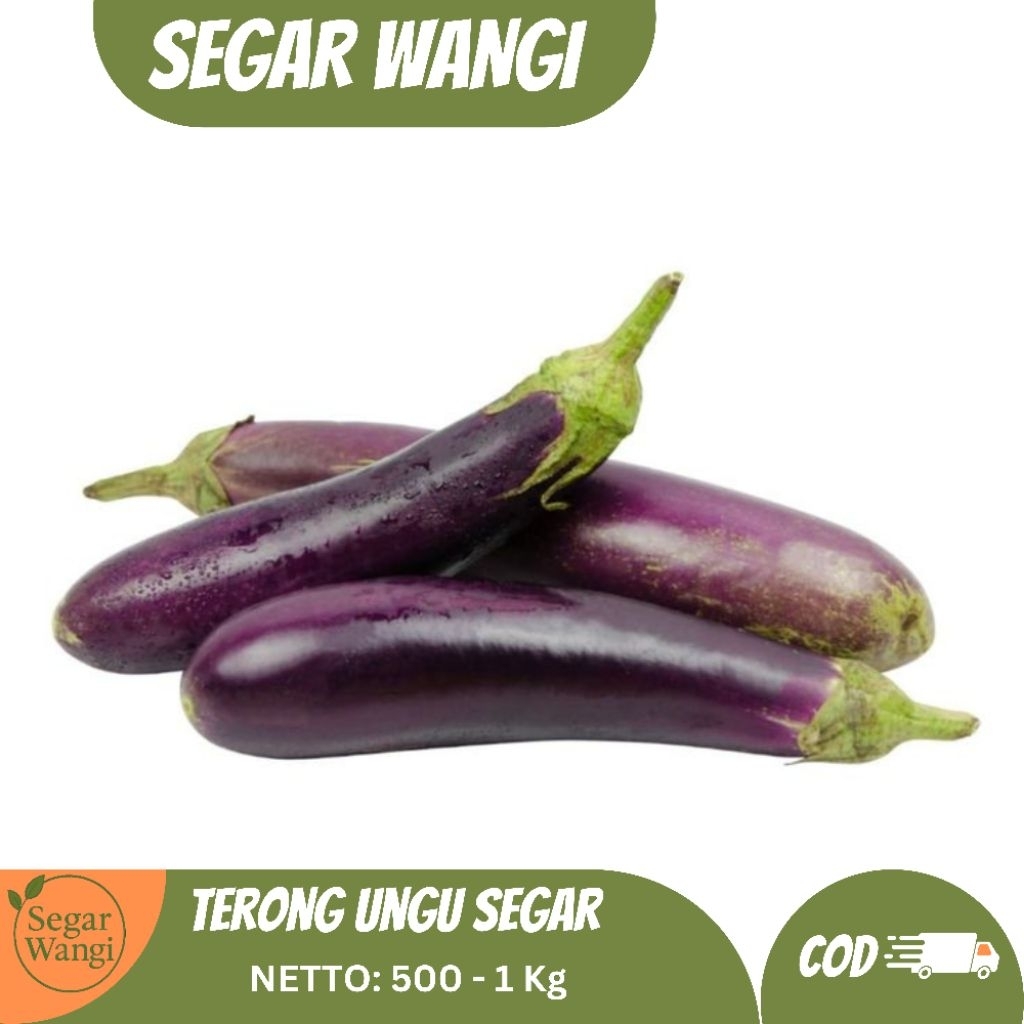 

Terong Ungu Segar 500 - 1 Kg - Siap Kirim!