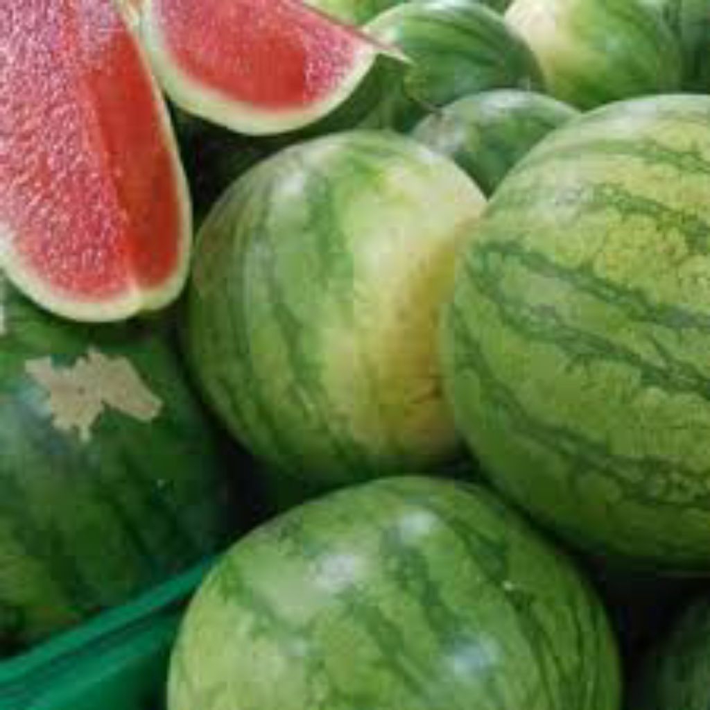 

semangka merah manis segar by kingfruit