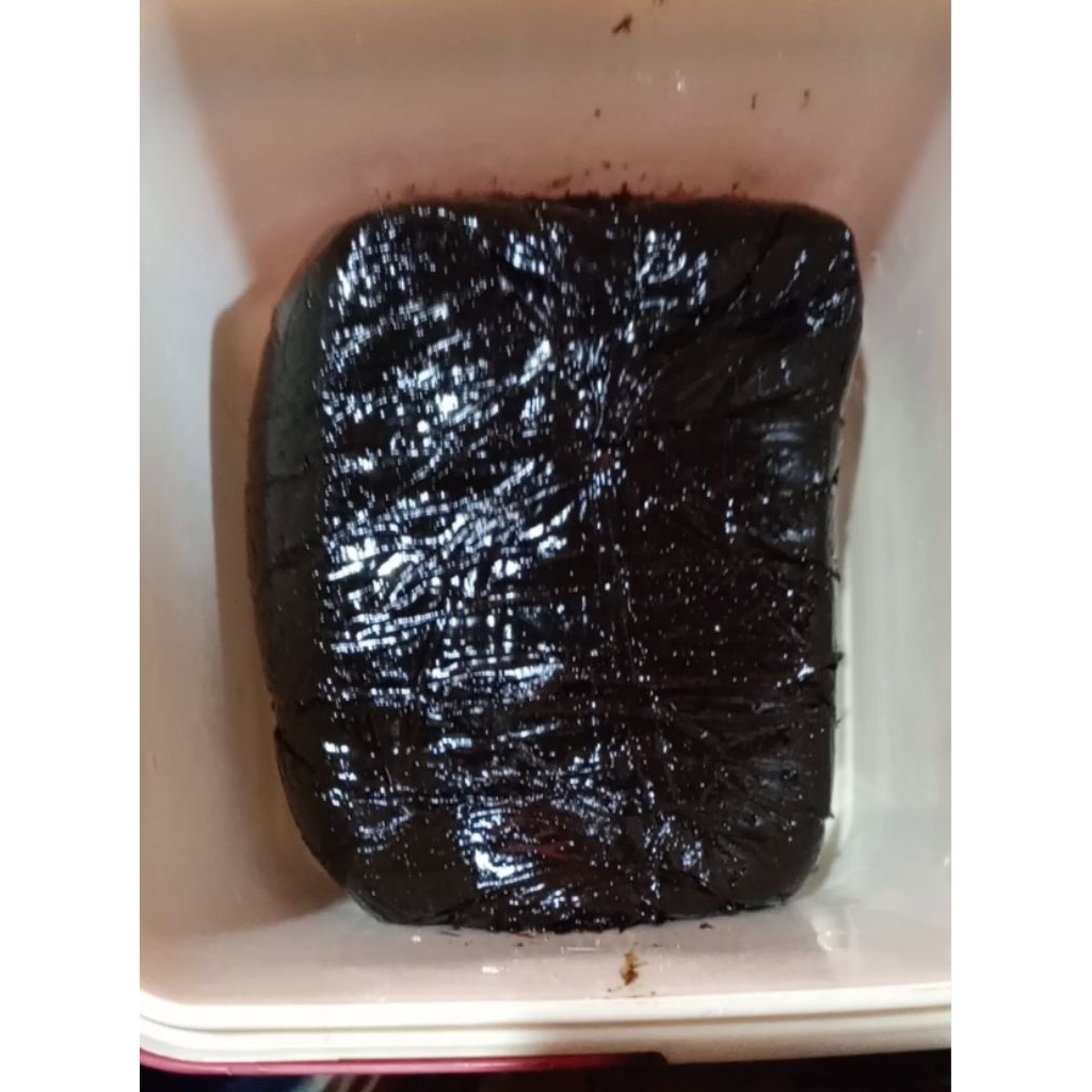 

Petis Udang Sidoarjo 900 gram