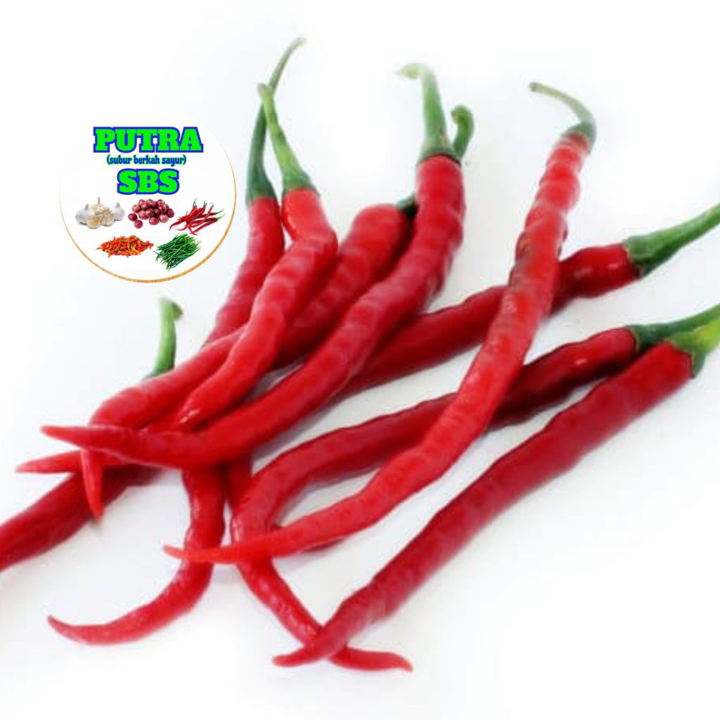 

1KG Cabe Merah Keriting Fresh