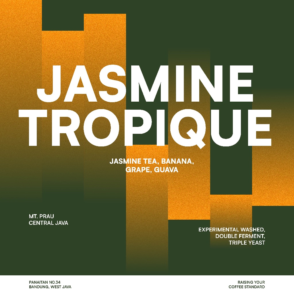

JACK RUNNERS ROASTERY - JASMINE TROPIQUE - ROASTED COFFEE BEANS