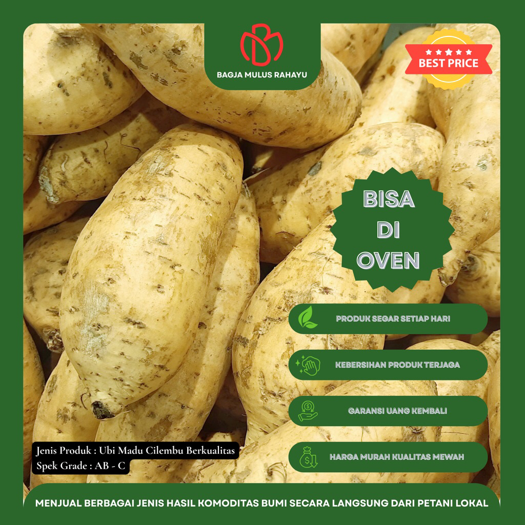 

Ubi Madu Cilembu Asli - [ Grade AB, C ] - Ubi Cilembu Spek Oven