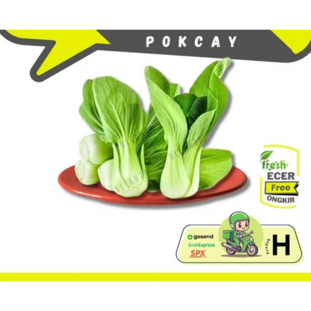 

Tokotenan // Sawi Sendok /Pokcay /Pakcoi /Pakcoy /Pokcai -- Sayur Gunung Ecer (H)