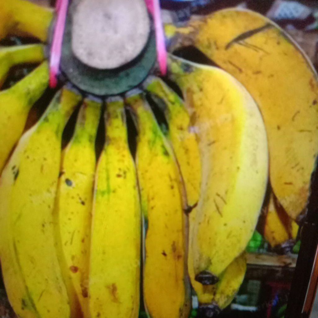 

Pisang Raja Bulu Manis