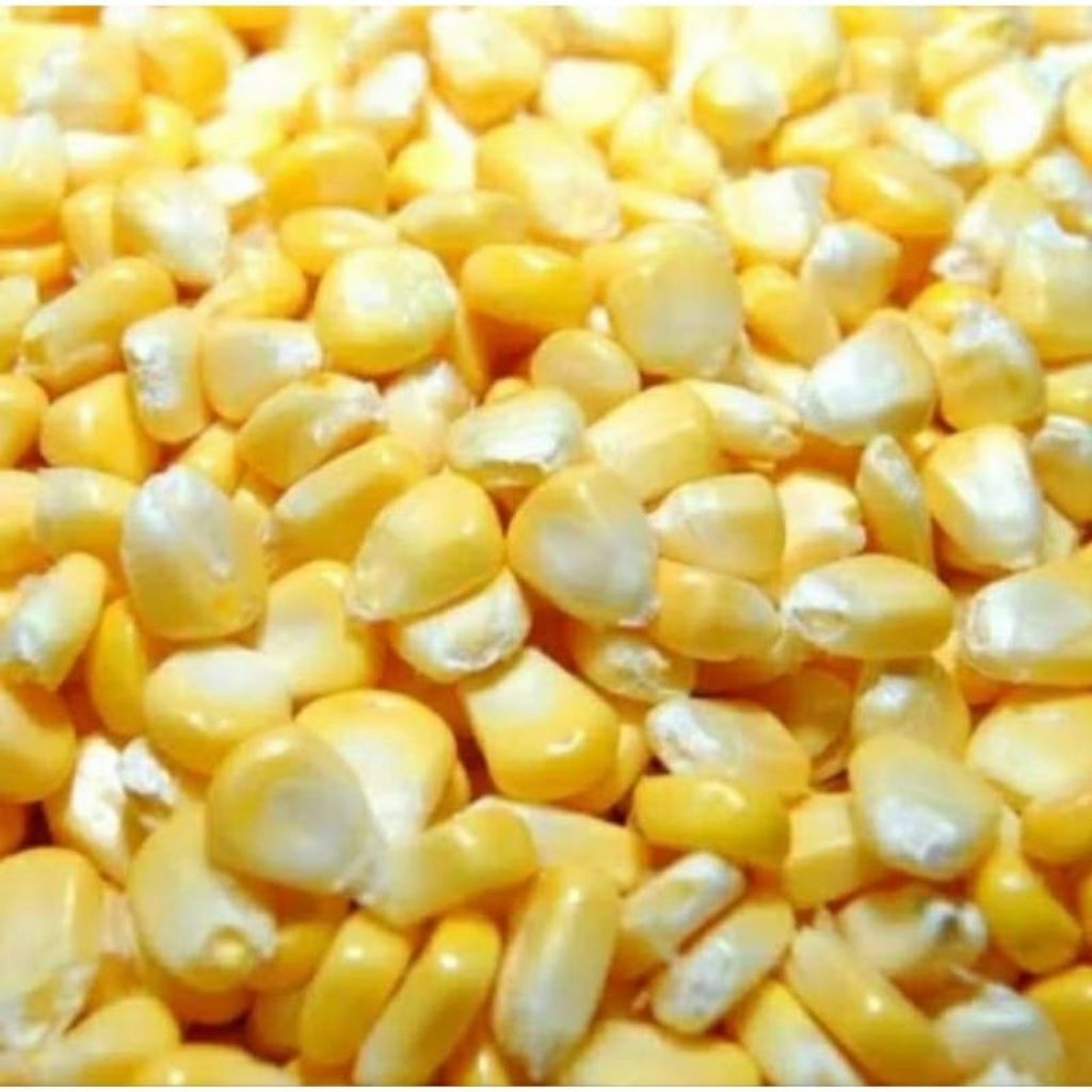 

JAGUNG PIPIL MANIS 1KG