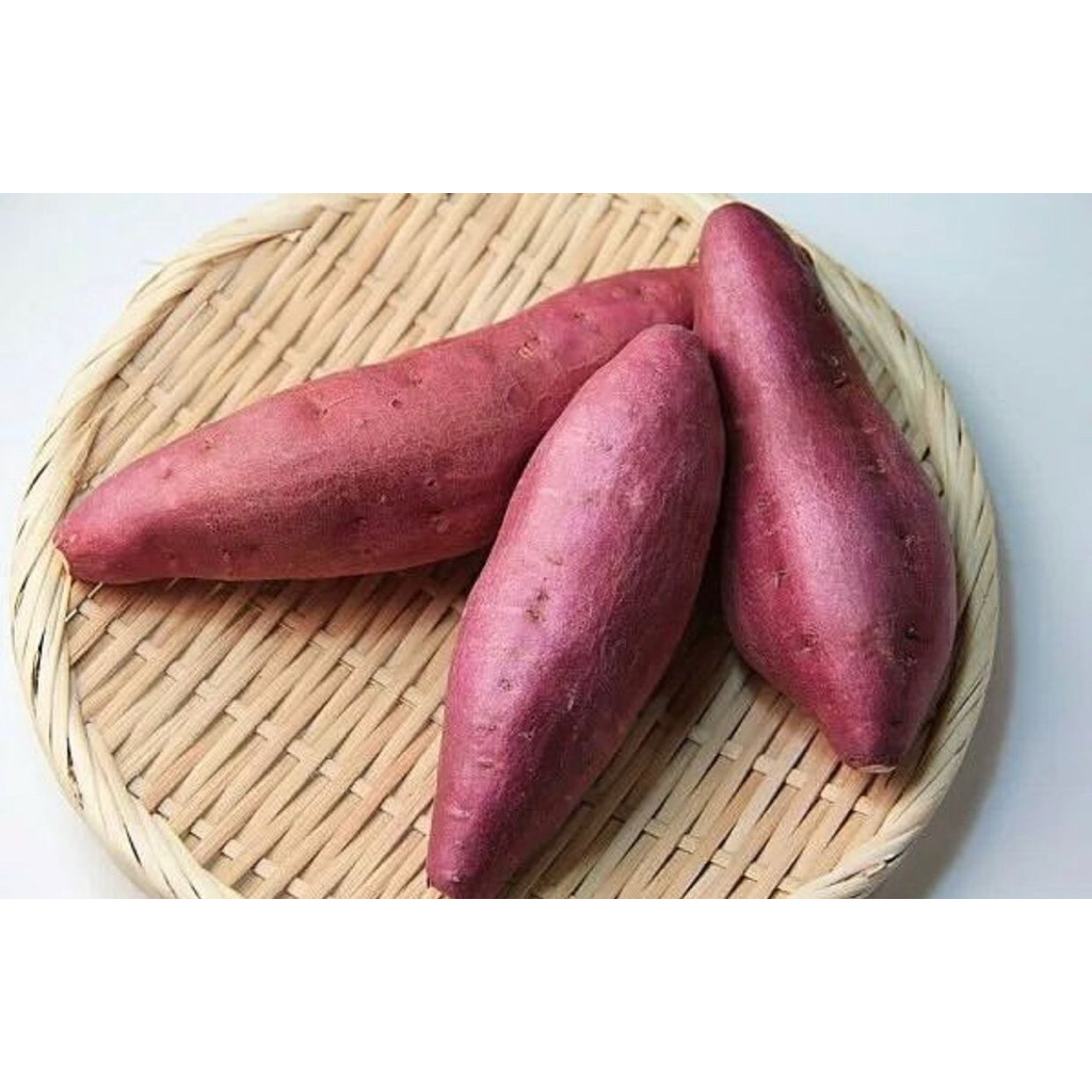 

PROMO COD UBI UNGU KUALITAS A1