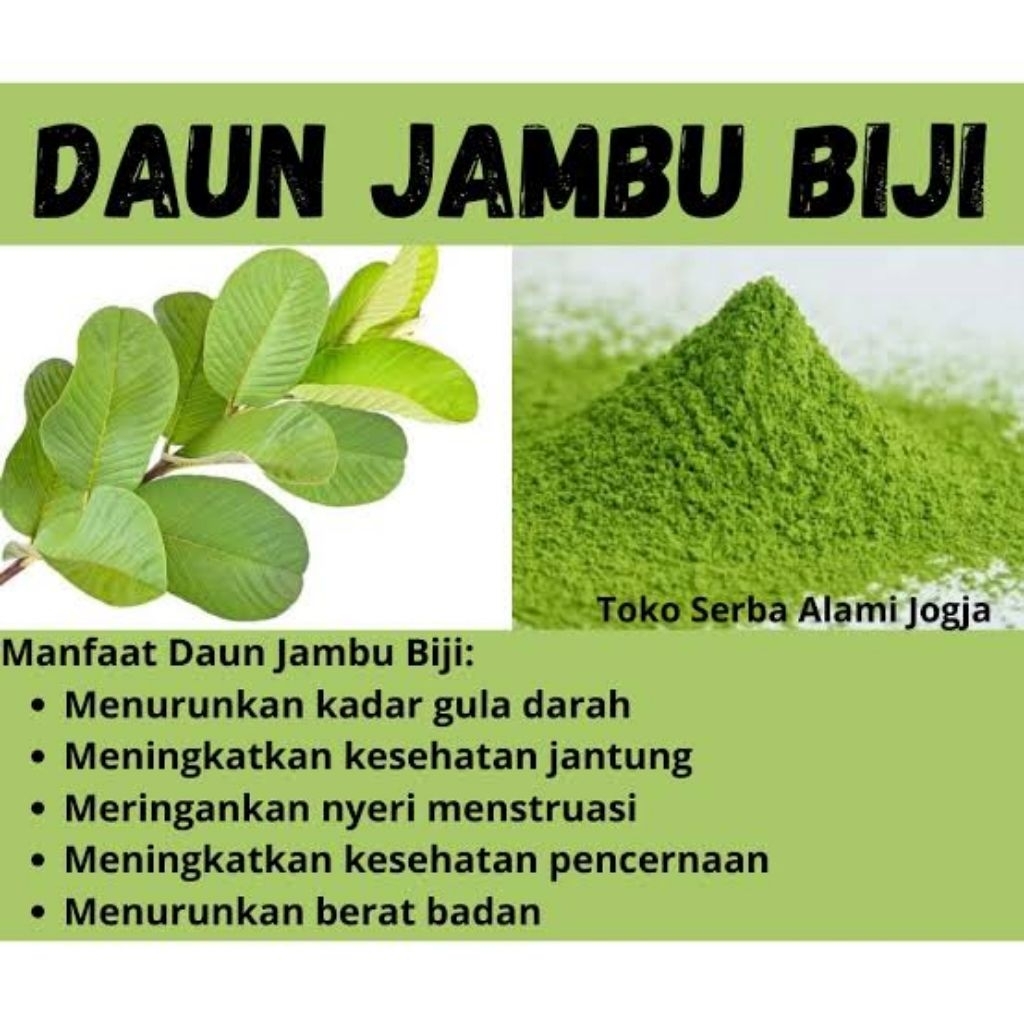 

Kelor, Super Daun untuk Kesehatan Sehari-hari!