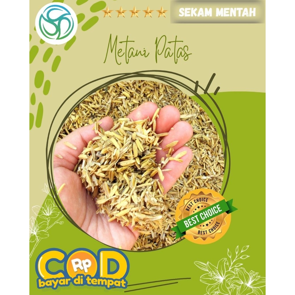 Sekam Padi Mentah || Sekam Padi Campuran Media Tanam || Sekam Padi Premium