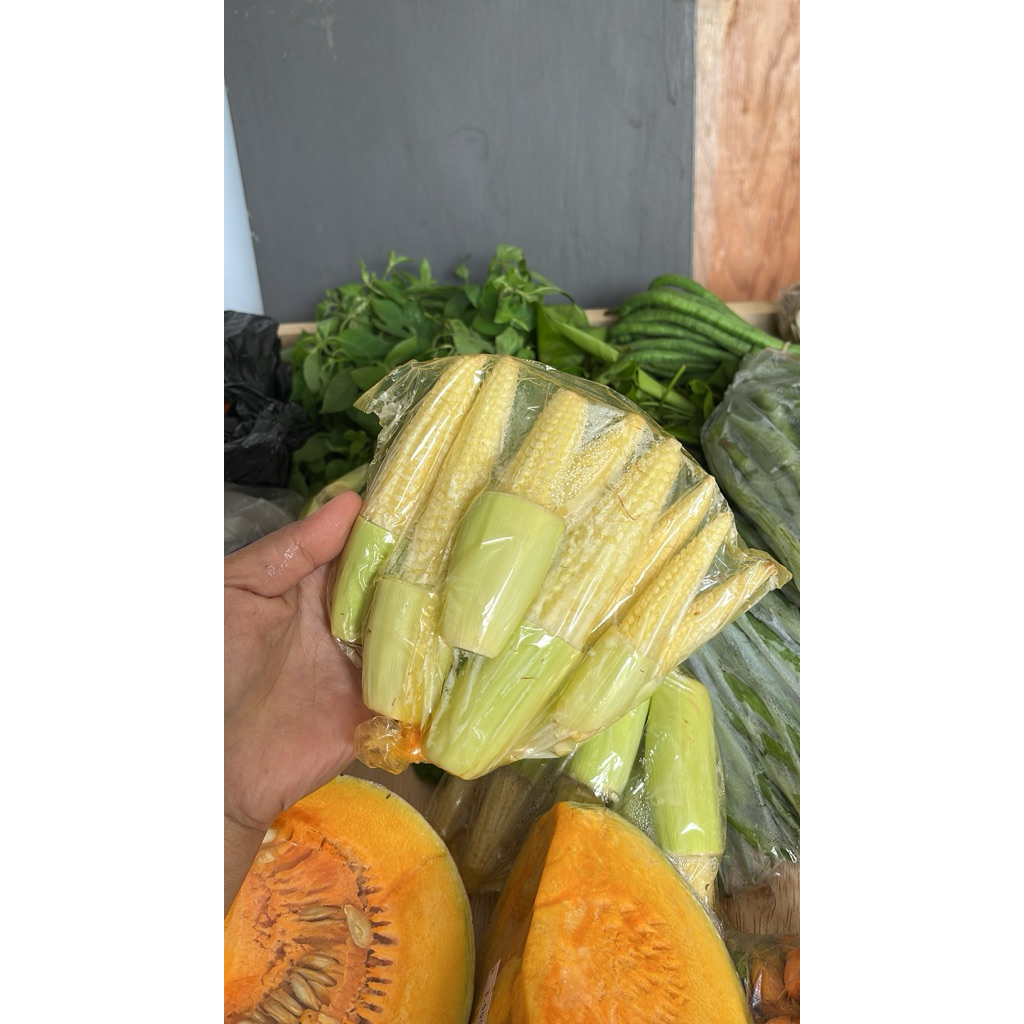 

Janggel / jagung muda / putren