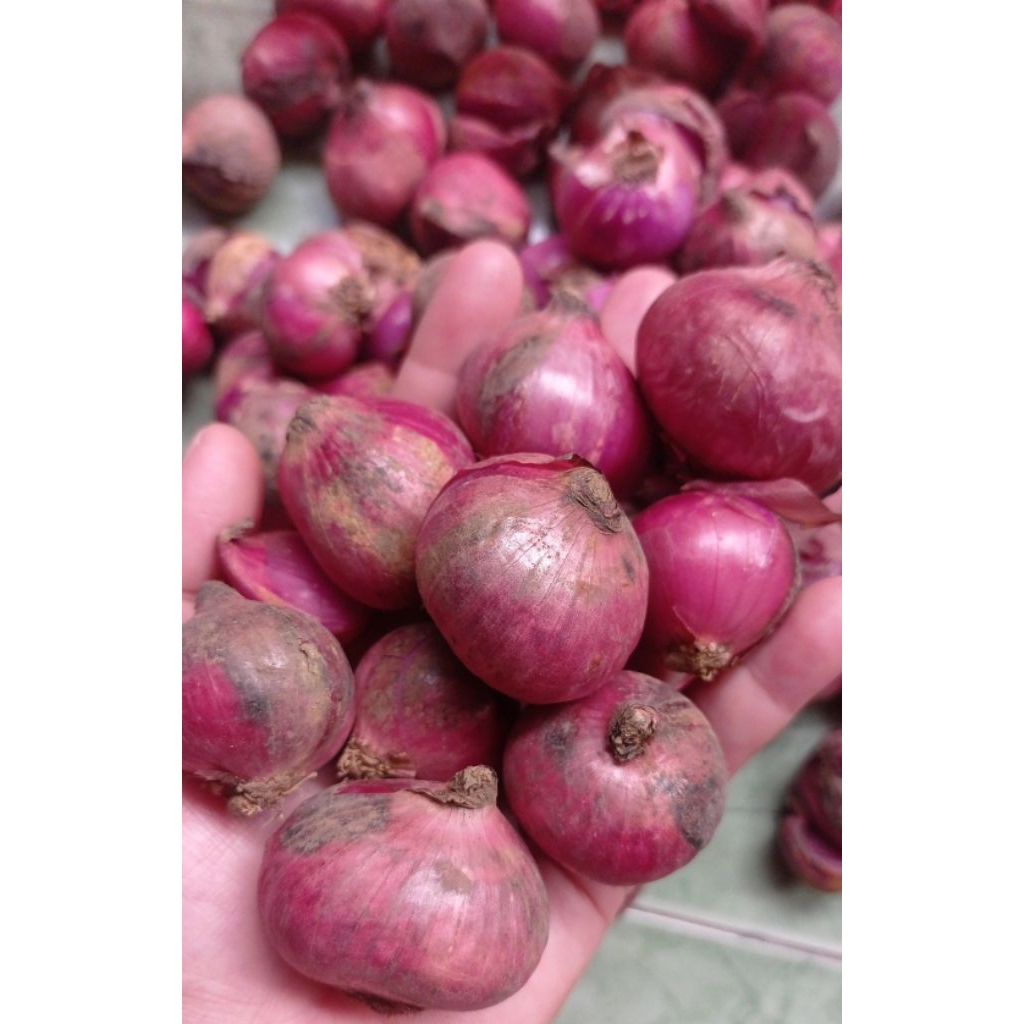 

Bawang merah balikaret per kilo