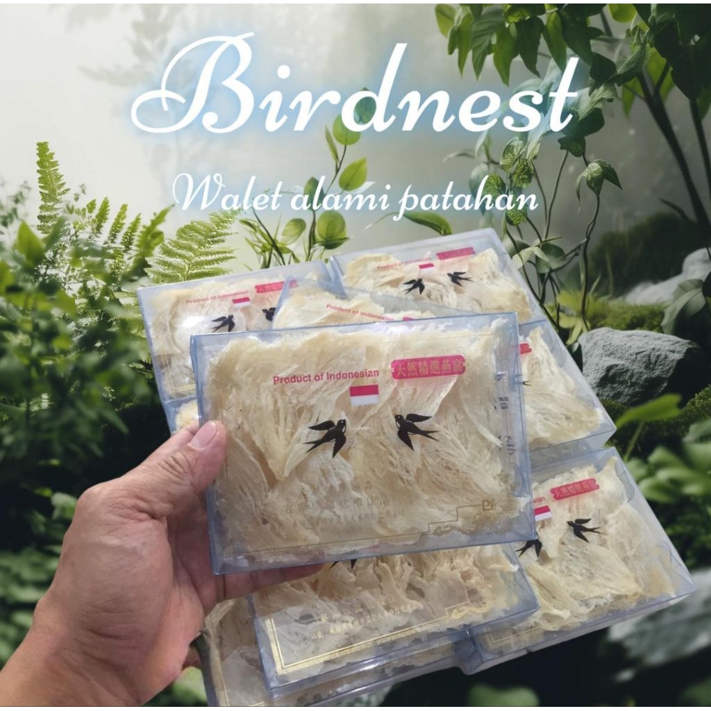 

sarang burung walet 100grm patahan dari segitiga
