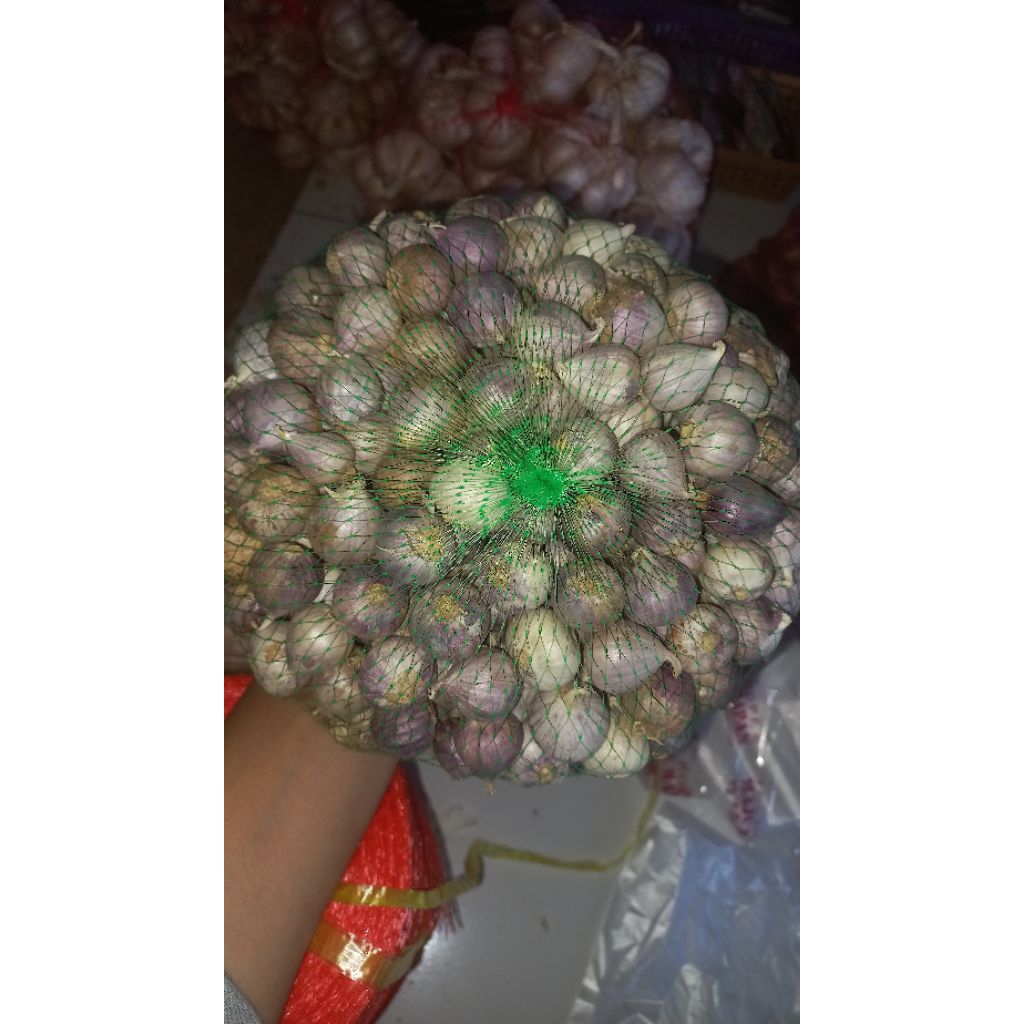 

BAWANG LANANG/ BAWANG TUNGGAL UKURAN SEDANG