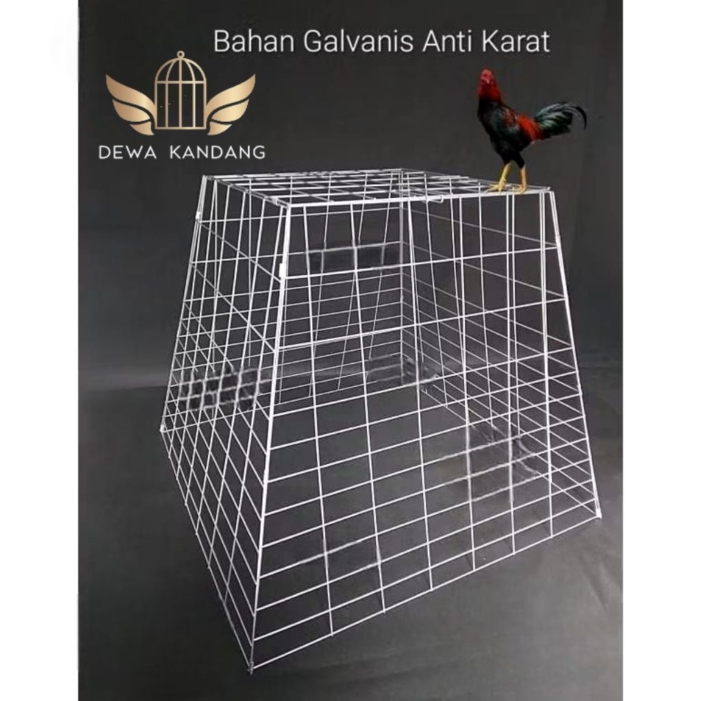 KANDANG AYAM PIRAMIDA GALVANIS SISTEM LIPAT  JEMUR BANGKOK