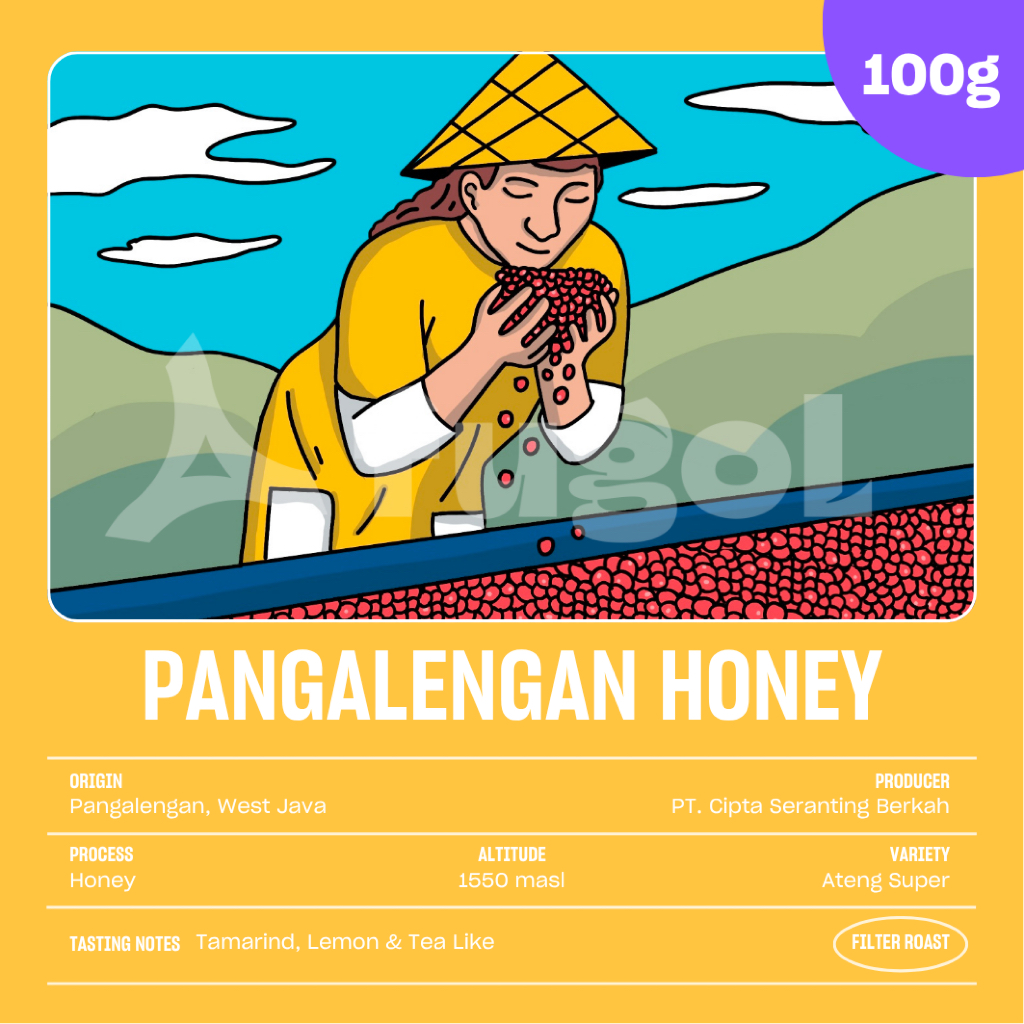 

Biji Kopi Arabica Pangalengan Honey (100 gram) Specialty Single Origin