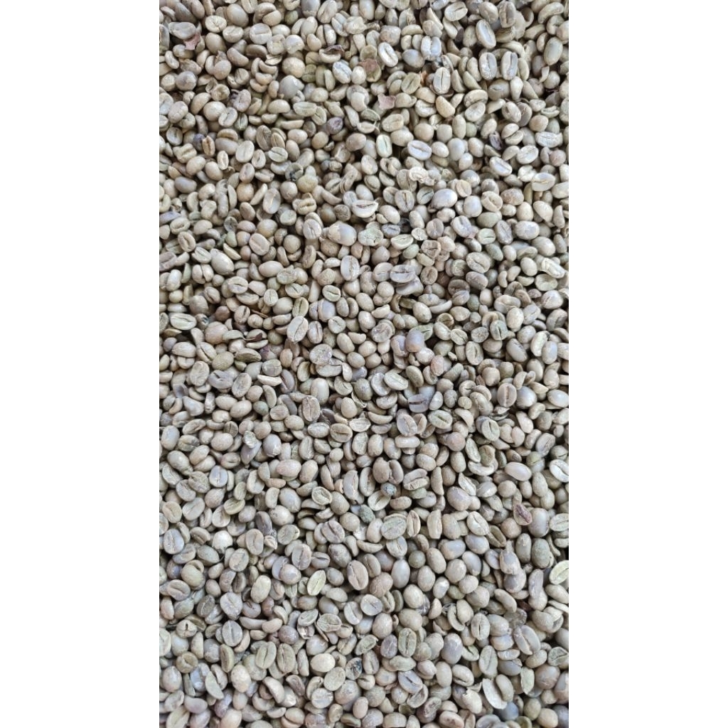 

Green bean Arabika Lawu sortir ringan 1 kg