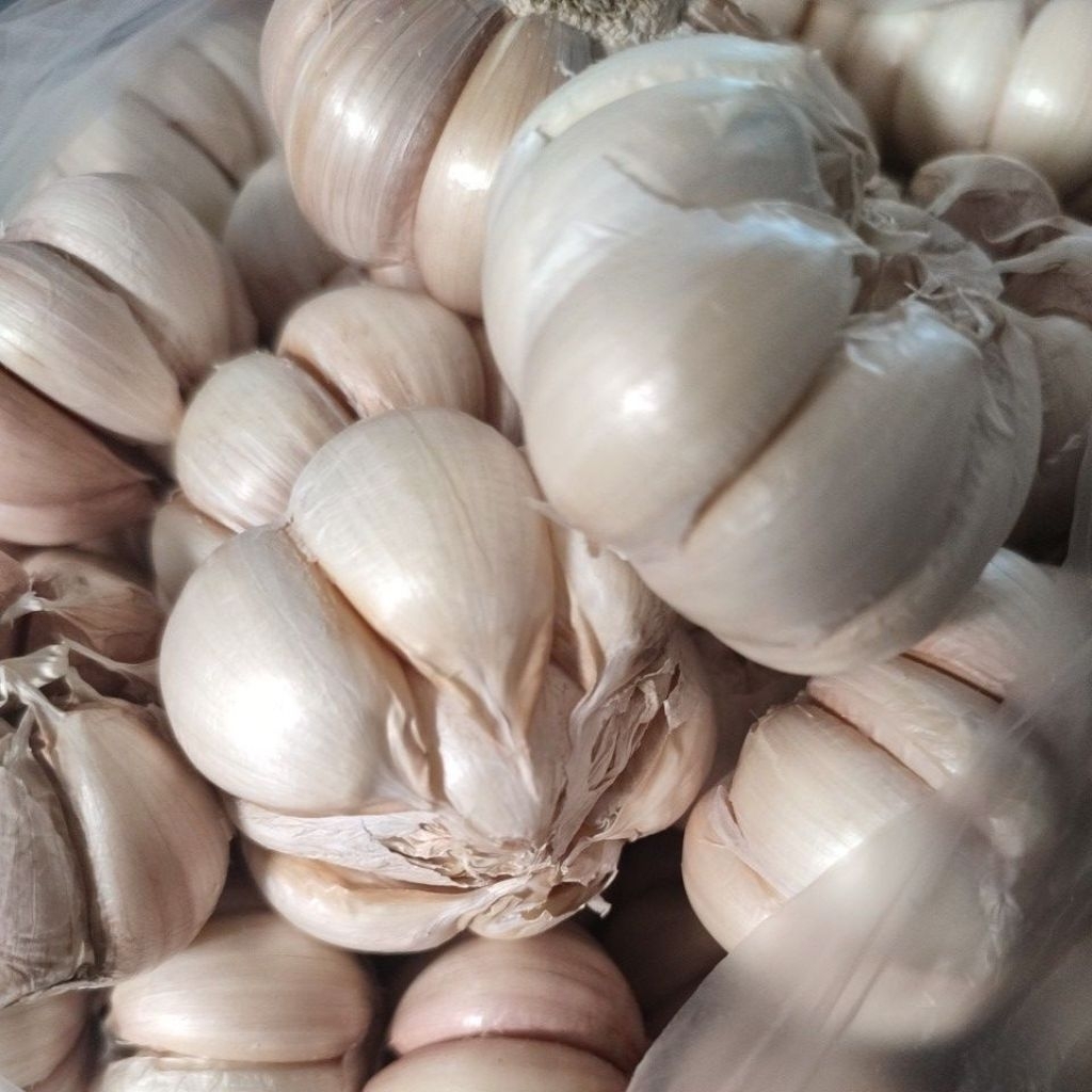 

Bawang Putih 1kg/Bawang Putih kiloan