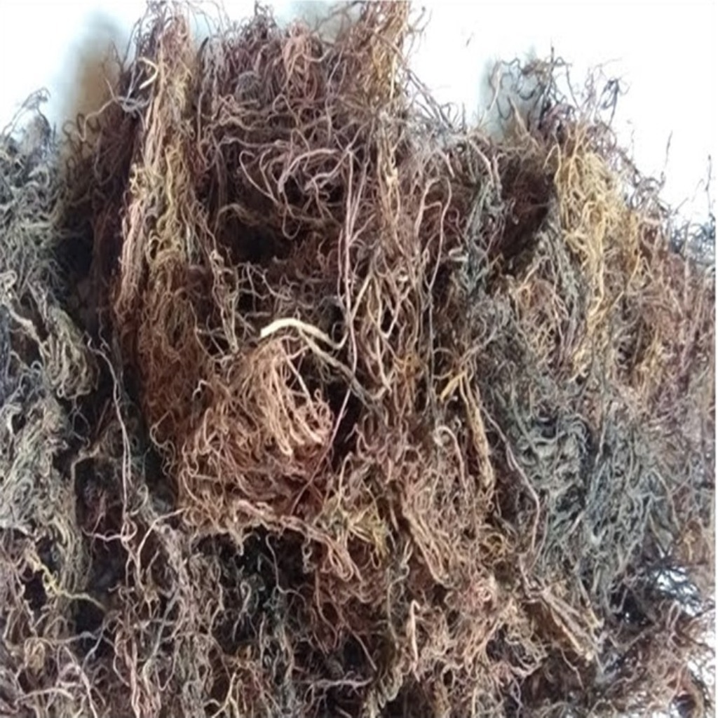 

RUMPUT LAUT KERING UNTUK AGAR-AGAR 500GR/RUMPUT LAUT BAHAN AGAR-AGAR/GUDIR 500 GR