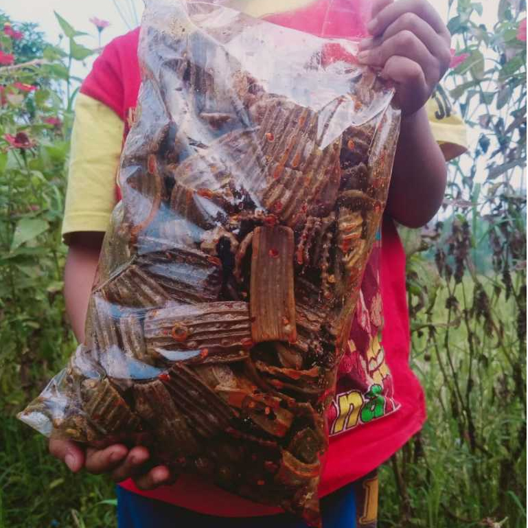 

Seblak Kering Kerupuk JENGKOL Cikruh Pedas Daun Jeruk KILOAN Cemilan Snack 500gr 250gr Ekonomis