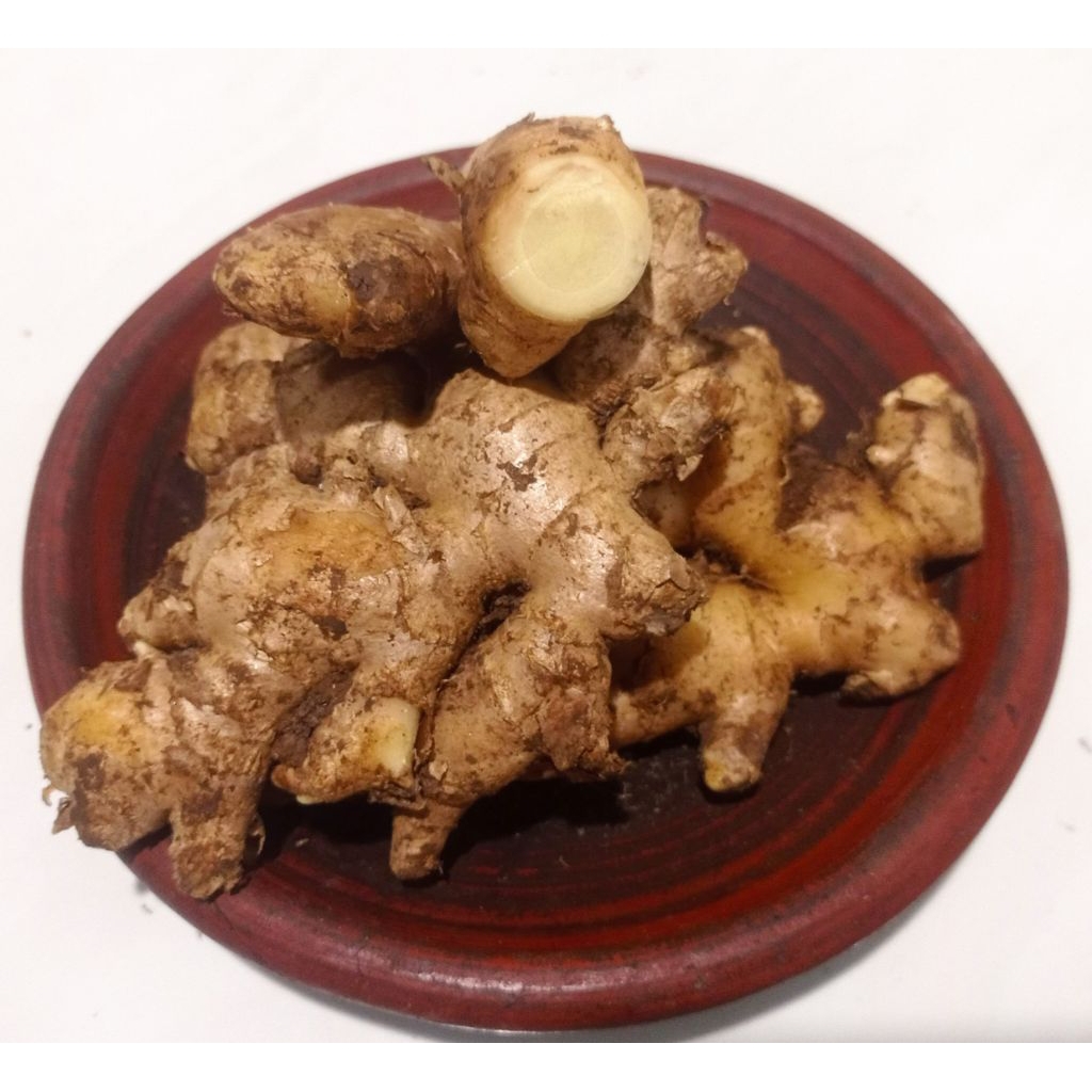 

Jahe Gajah Fresh / Jahe Besar / Rempah Jahe