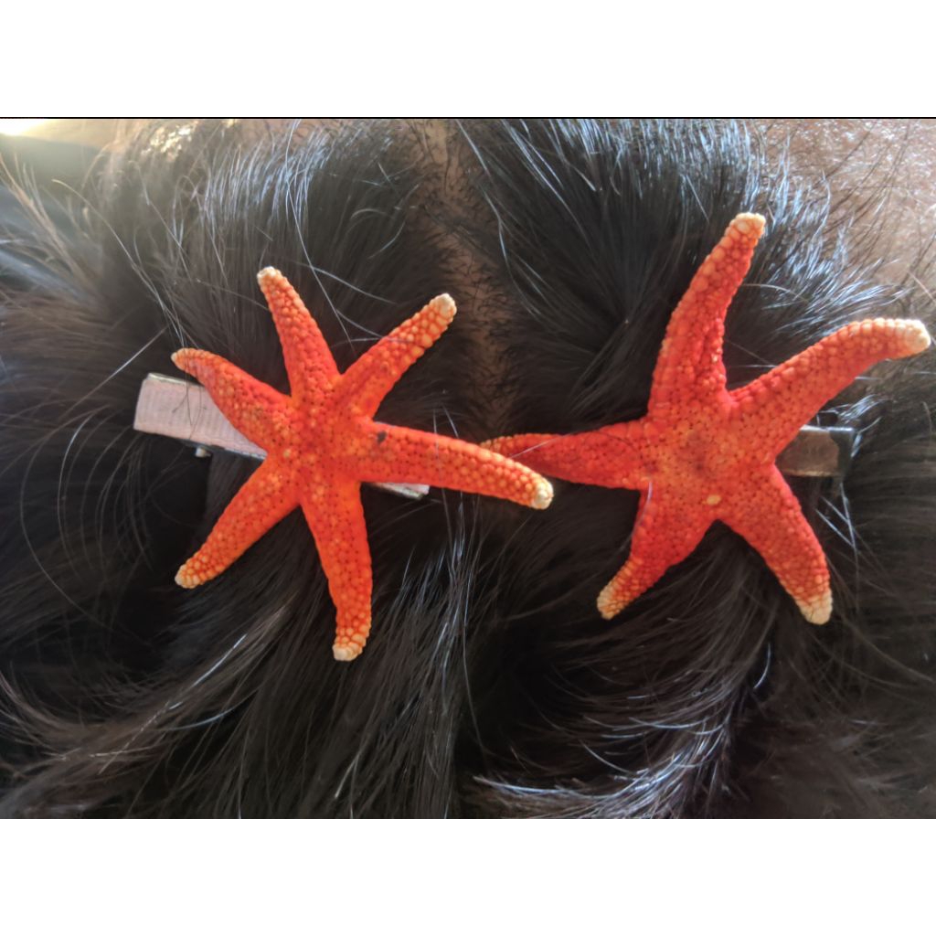 Aksesoris Wanita/Jepit Rambut Bintang Laut Merah Asli/Asli/Bintang Laut/aksesoris wanita/jepit rambu