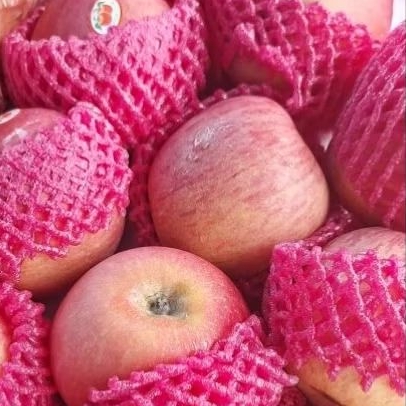 

buah apel fuji 1 kilo