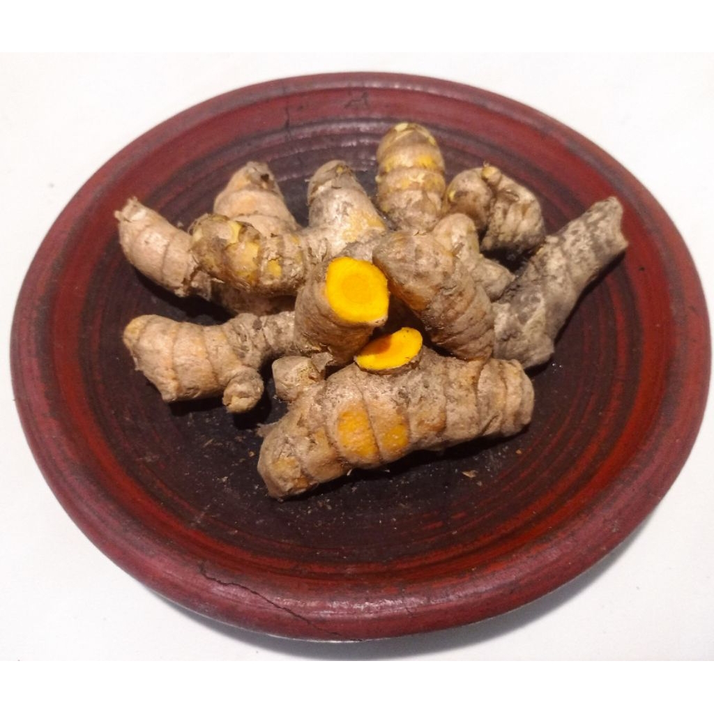 

Temu Lawak Segar / Temulawak