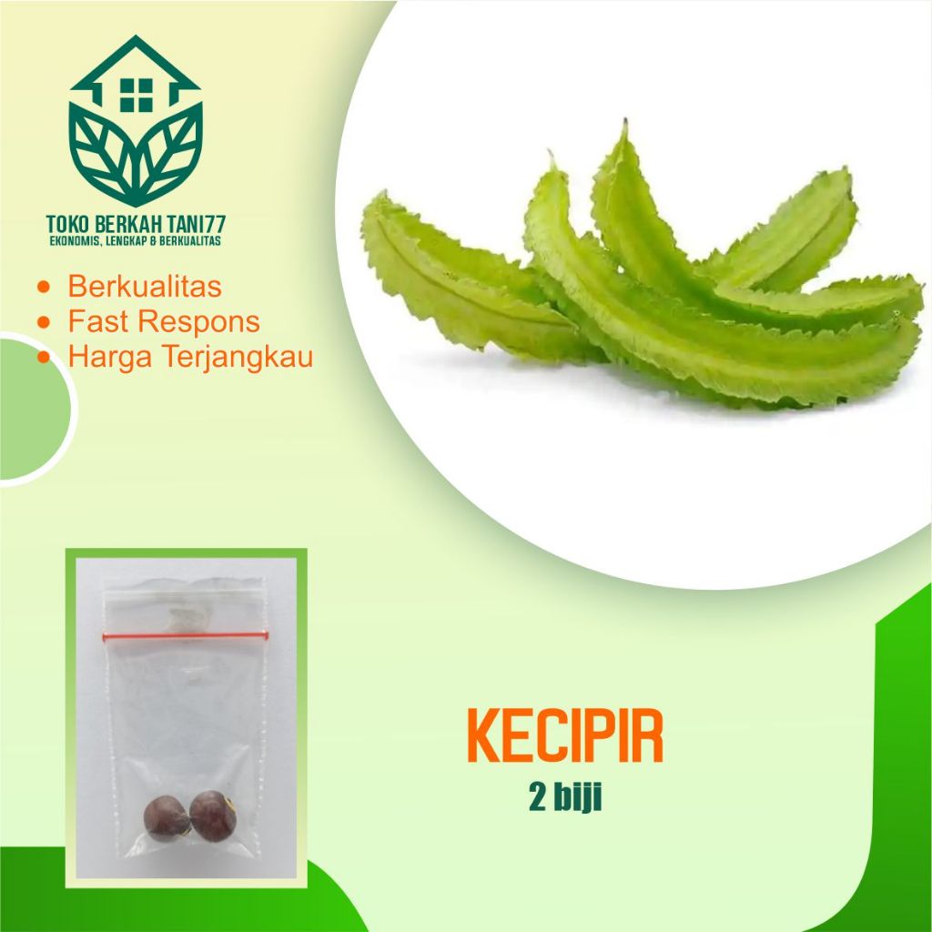 Benih Kecipir Benih Sayur Kecipir Bibit Kecipir Benih Sayuran Berkualitas