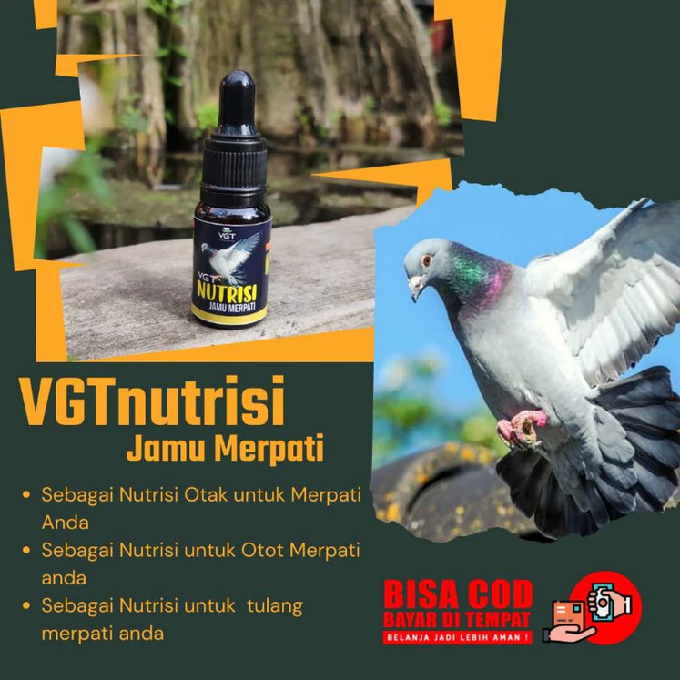 VGT NUTRISI JAMU MERPATI VITAMIN MERPATI KOLONG DAN BALAP