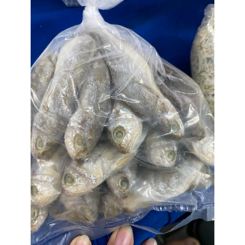 

Anak Ikan Asin Kepala Batu 250 gr