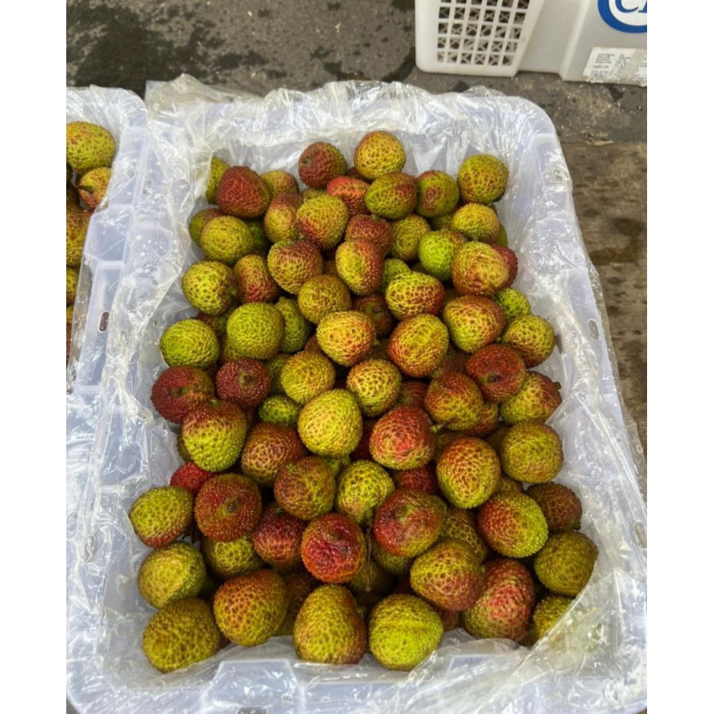 Leci Madu 1 Krat 5kg Manis Banget Leechye