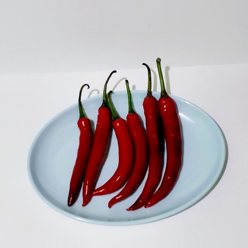 

CABAI MERAH BESAR 100 GRAM