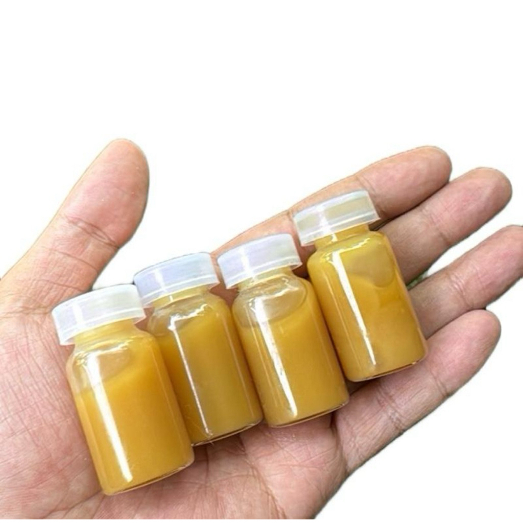 Minyak tokek asli 100 %