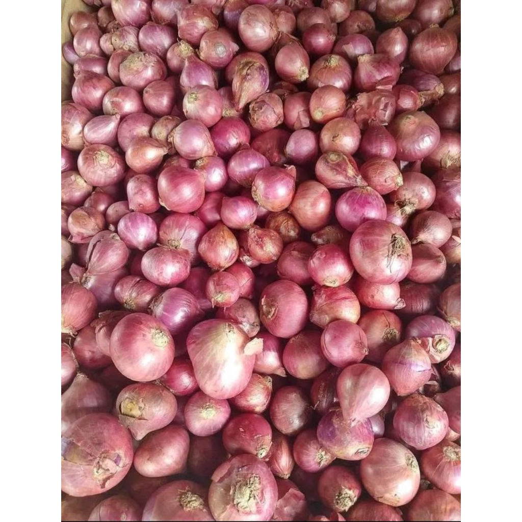 

bawang merah