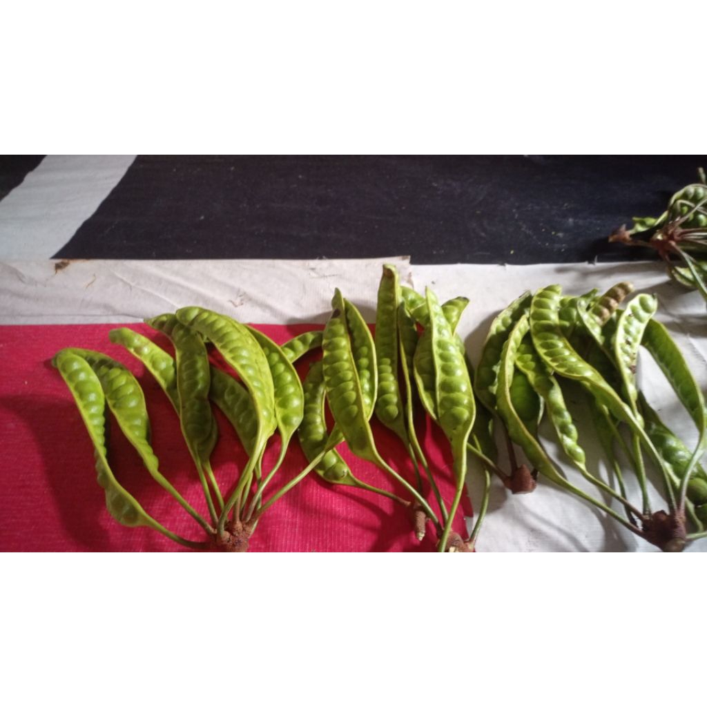 

Petai / Sayuran / Perkilo / Per ikat