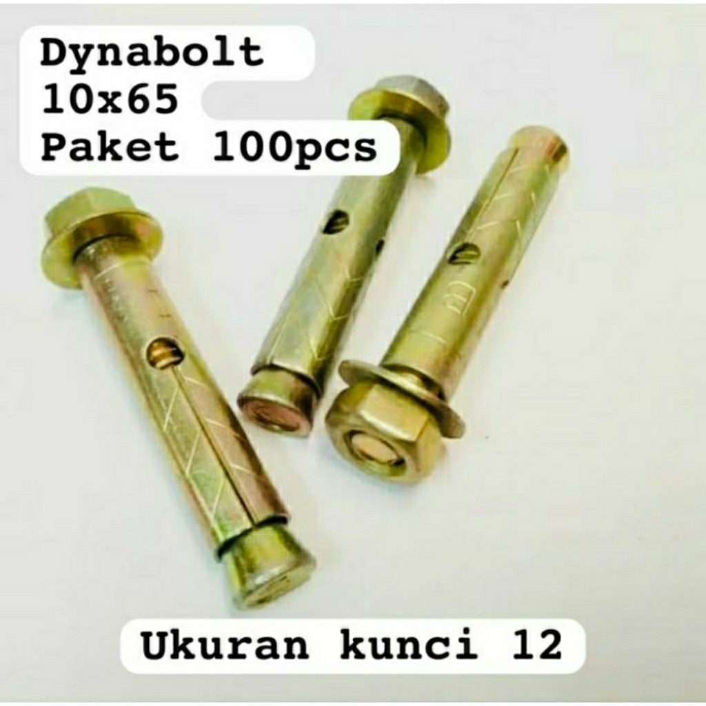 (Paket 100 pcs) Dynabolt 10×65