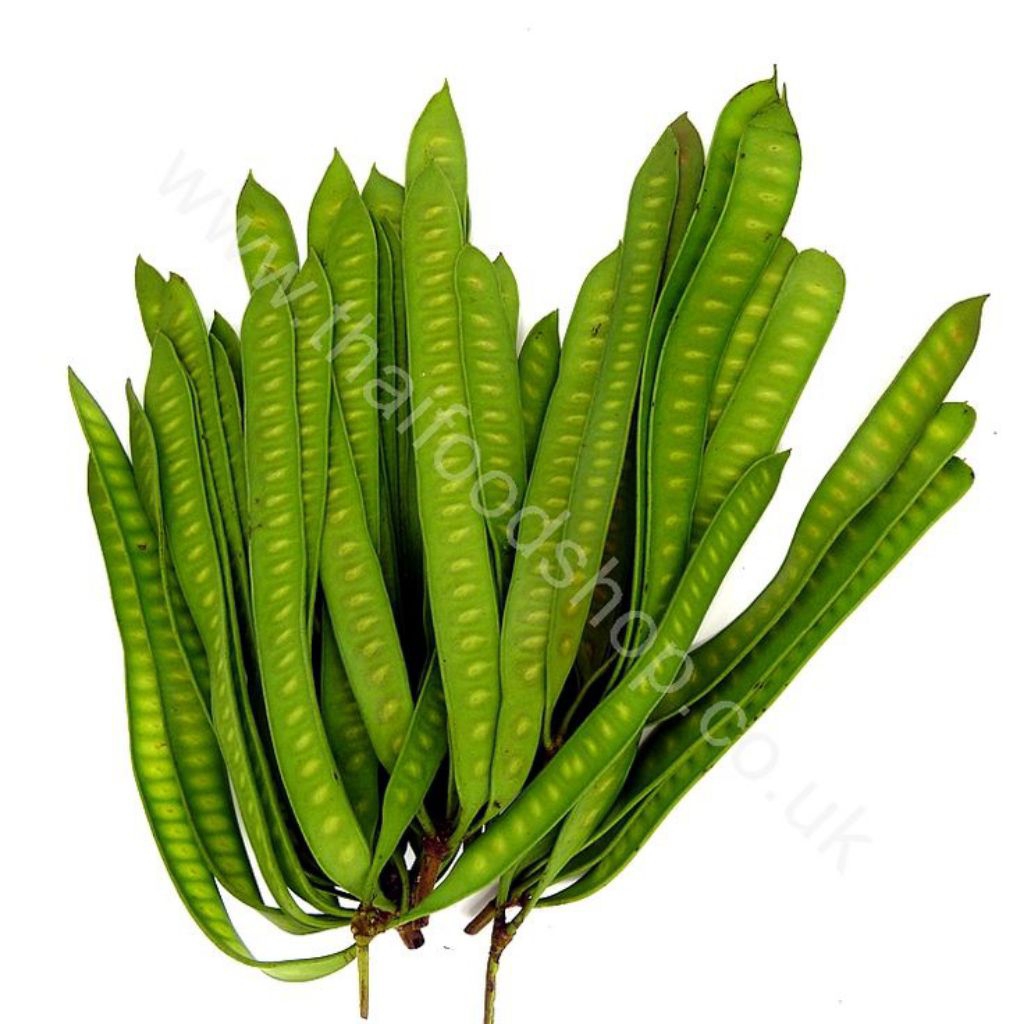 

pete cina muda /lantoro muda