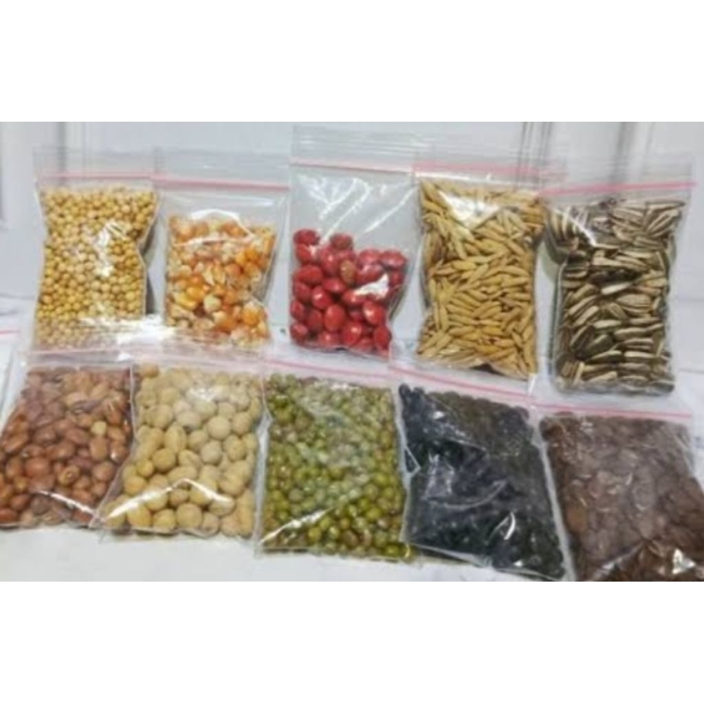 prakarya sekolah dari biji bijian/kolase Biji bijian/bahan kolase Biji bijian/bahan kolase isian pad