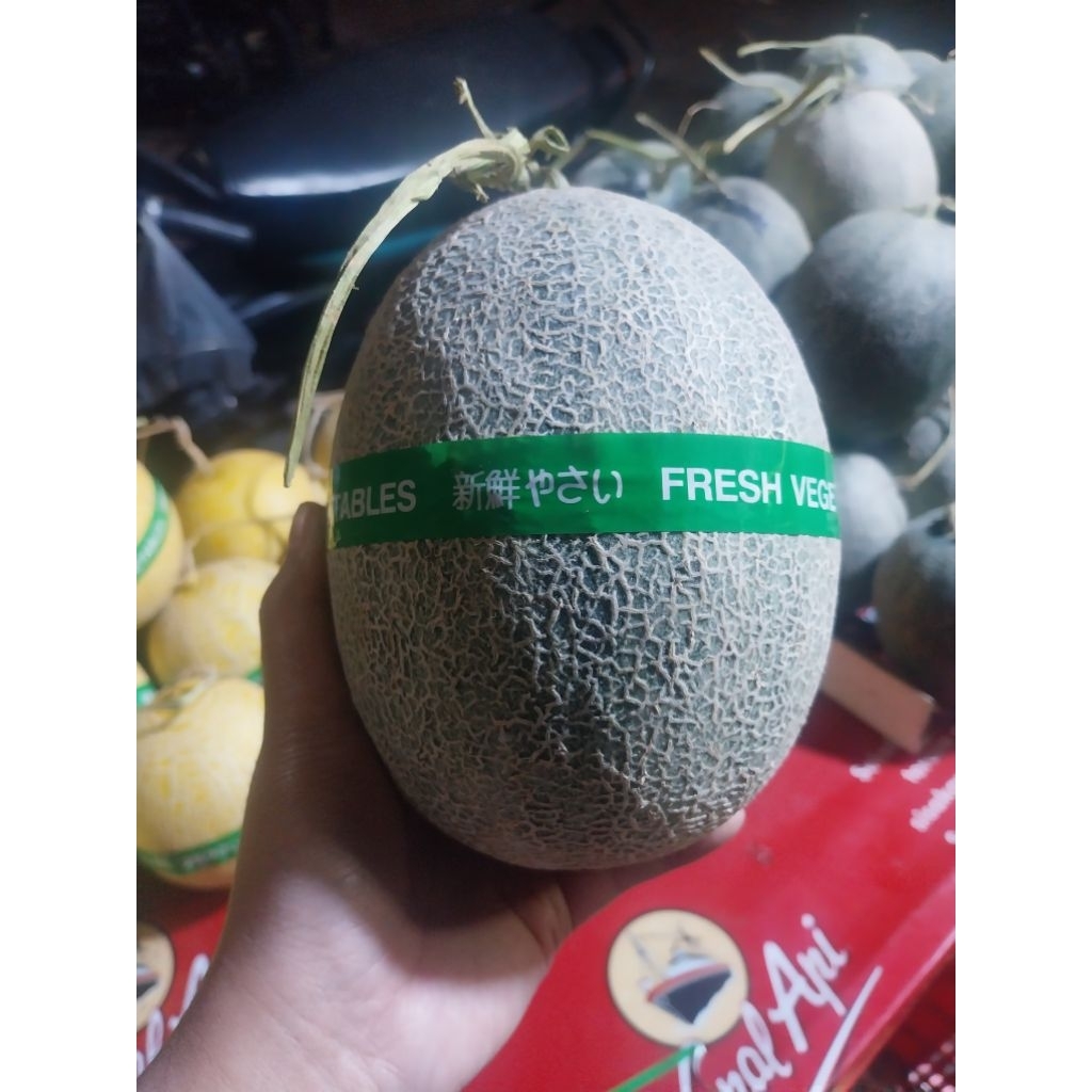 

Melon Hamigua Hydroponik Greenhouse berat 500g_1kg