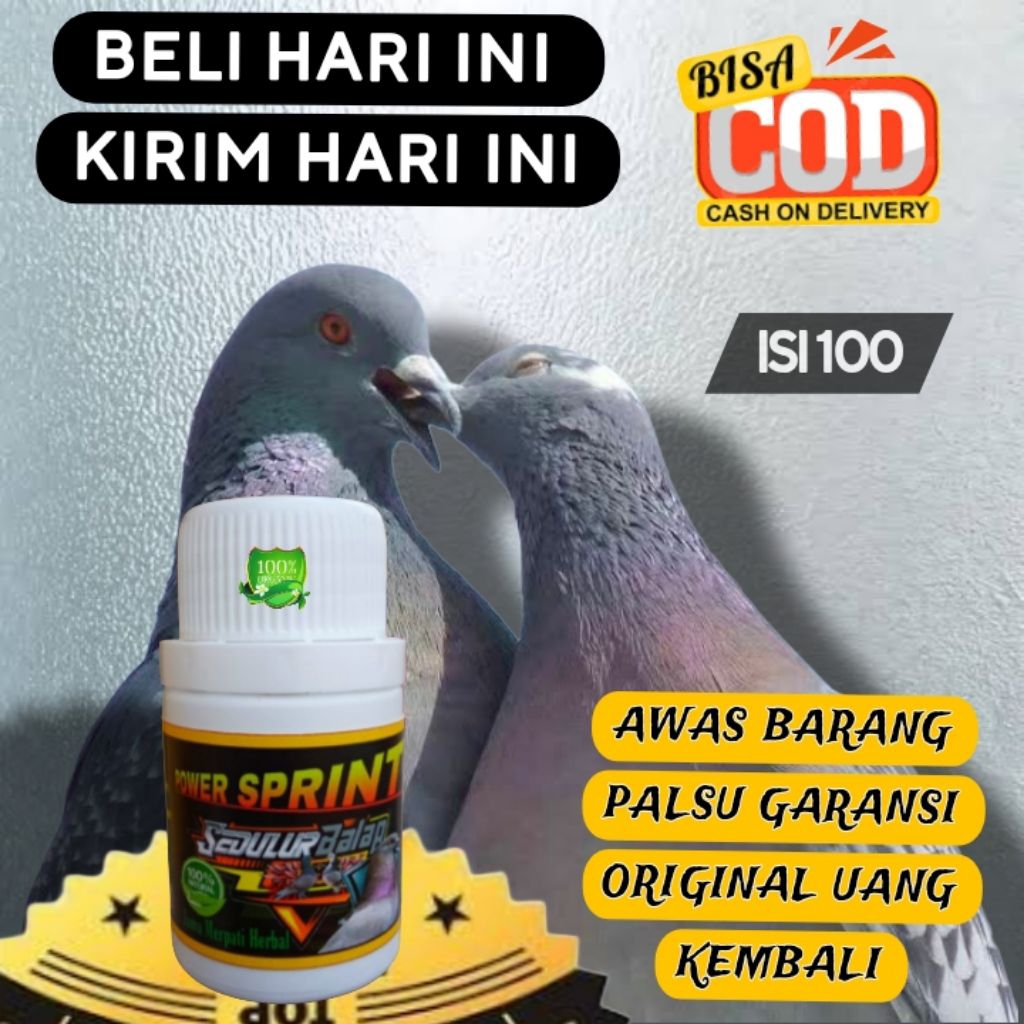 REKOMENDASI  JAMU MERPATI POWER SPRINT DOPING MERPATI OBAT GIRING KERAS BURUNG MERPATI Terbang cepat